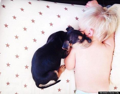 Η ιστορία αγάπης ενος μωρου... και ενός σκύλου!