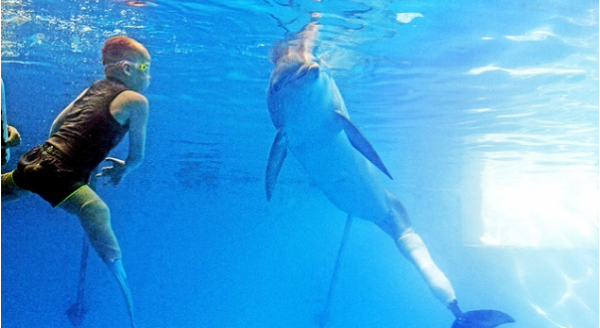 Το παιδί και το δελφίνι  .. Η ιστορία συγκινεί και οι εικόνες συγκλονίζουν (ΦΩΤΟΓΡΑΦΙΕΣ- ΒΙΝΤΕΟ)