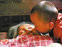 Η απίστευτη ιστορία της Κινέζας ρακοσυλλέκτριας η οποία κατάφερε να σώσει και να αναθρέψει 30 εγκαταλελειμμένα μωρά!