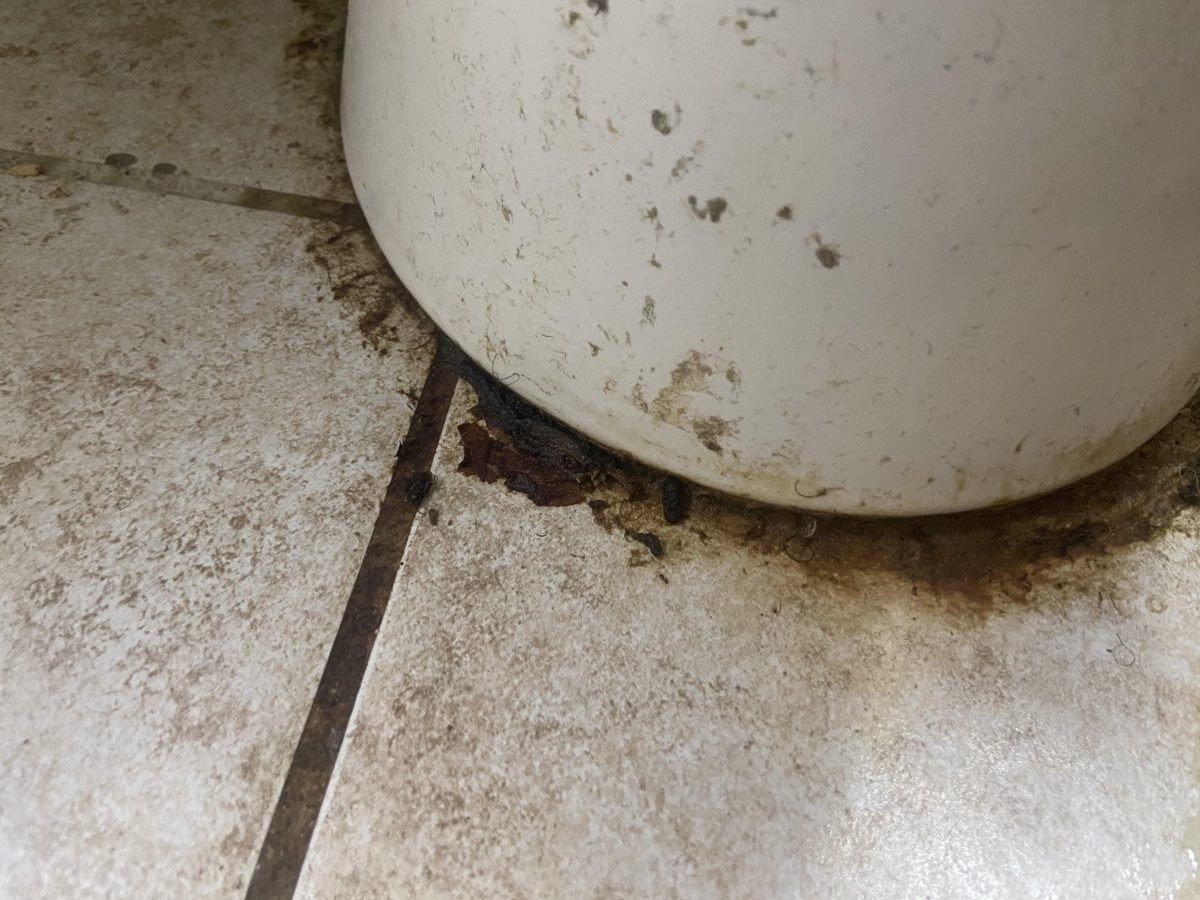 3 ΟΙΚΟΝΟΜΙΚΕΣ ΛΥΣΕΙΣ ΓΙΑ ΤΟ ΚΑΘΑΡΙΣΜΑ ΤΟΥ ΣΠΙΤΙΟΥ…