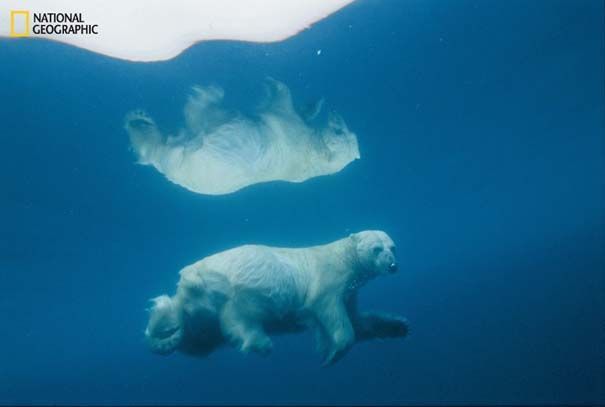 National Geographic: Φωτογραφίες επετειακού τεύχους (3)