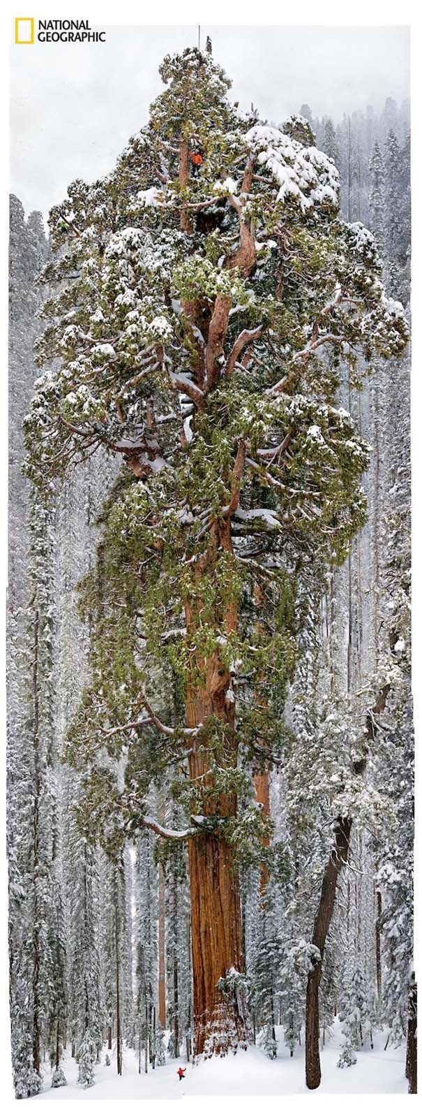 National Geographic: Φωτογραφίες επετειακού τεύχους (8)