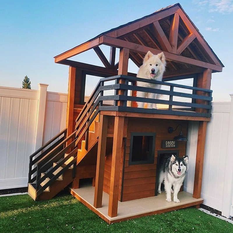 Σπιτάκια σκύλων που θα σας πάρουν το μυαλό και μια κατασκευή βήμα βήμα!