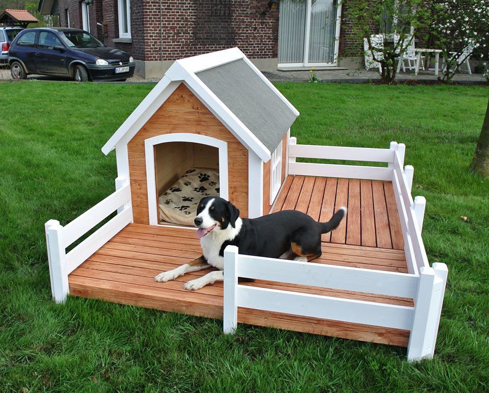 Σπιτάκια σκύλων που θα σας πάρουν το μυαλό και μια κατασκευή βήμα βήμα