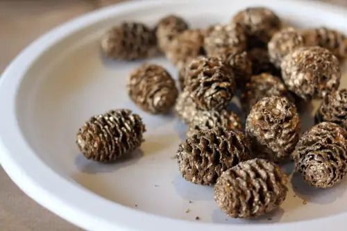 11 χριστουγεννιατικες κατασκευές με γυάλινα βαζάκια!