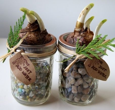 40 απίθανες ιδέες διακόσμησης για τις γιορτές..και οχι μονο!