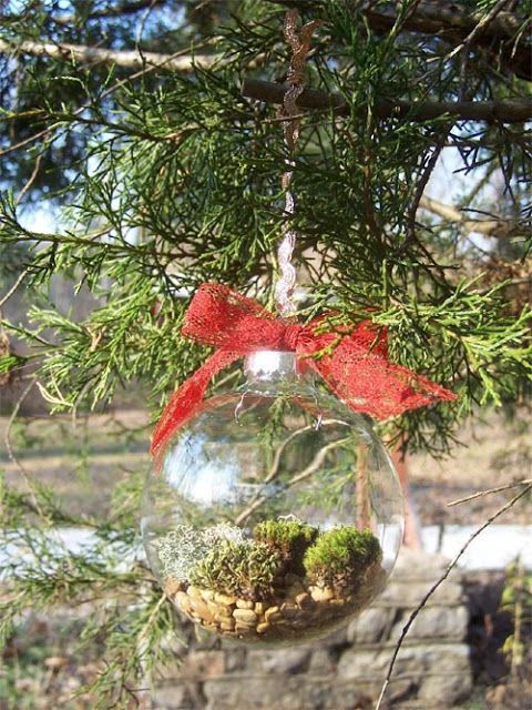 διάφανής-μπάλα-με-πέτρες- διάφανής-μπάλα-με-πέτρες-