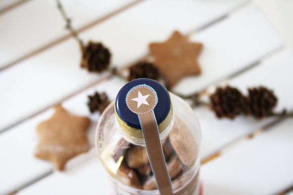 Χριστουγεννιάτικη-κατασκευή-με-πλαστικά-μπουκαλάκια-6- Χριστουγεννιάτικη-κατασκευή-με-πλαστικά-μπουκαλάκια-6-