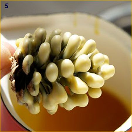 κουκουνάρι-βουτηγμένο-σε-κερί-