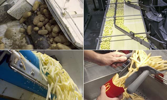 Δείτε στο video τι περιέχουν οι διάσημες πατάτες των McDonald's.Δε νομίζω να ξαναφατε!