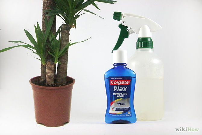 MakeAntiFungus Βήμα 5.jpg