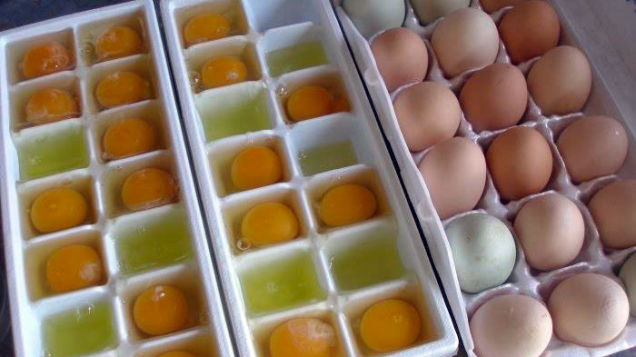 Ρίχνει αυγά μέσα σε μια παγοθηκη. Γιατι;To πιο έξυπνο tip που είδατε ποτε