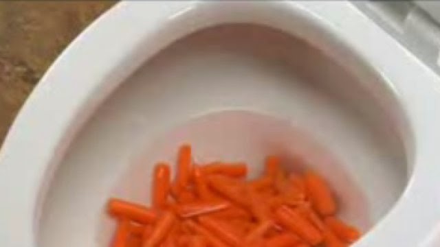 Έριξε καρότα μέσα στη λεκάνη της τουαλέτας ο λόγος;Δείτε το!
