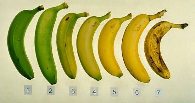 Από τις μπανάνες που βλέπετε,ξέρετε ποια είναι η πιο υγιεινή επιλογή;Μάθετε ποια πρέπει να αγοράζετε και γιατί