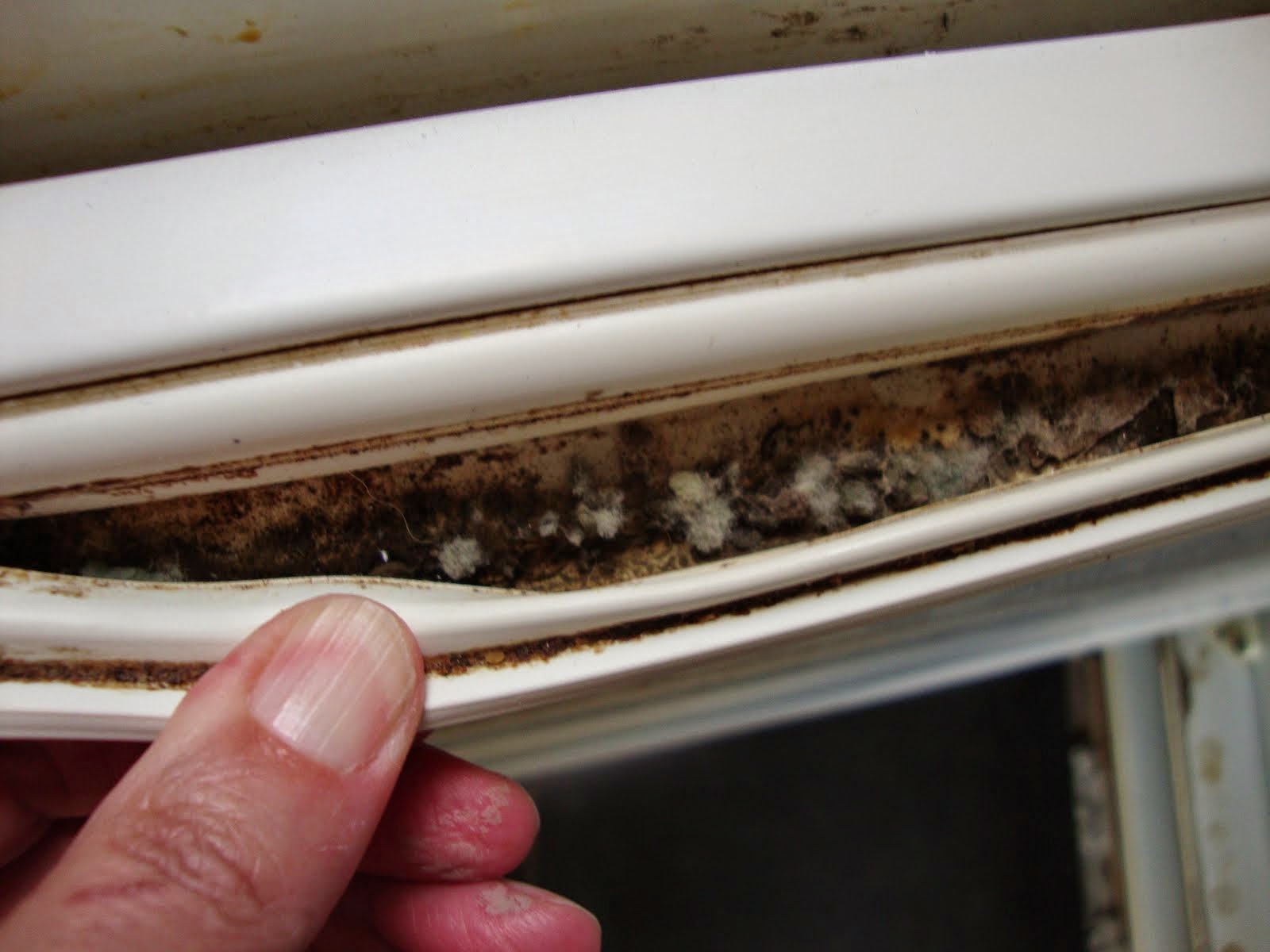 super clean tip:Πως να καθαρίσετε το λαστιχο του ψυγείου  από μούχλα και βρωμιες