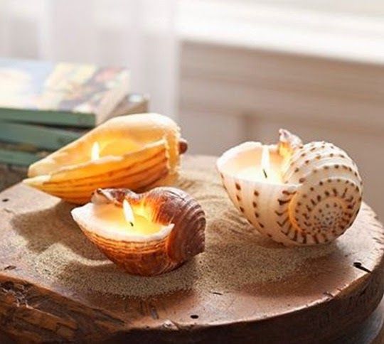 Υπέροχες ιδέες για καλοκαιρινές συνθέσεις με κοχύλια