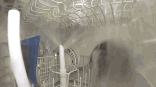 Έβαλε μια κάμερα μέσα σε ένα πλυντήριο πιάτων. Αυτό που κατέγραψε θα σας αφήσει άφωνους!4