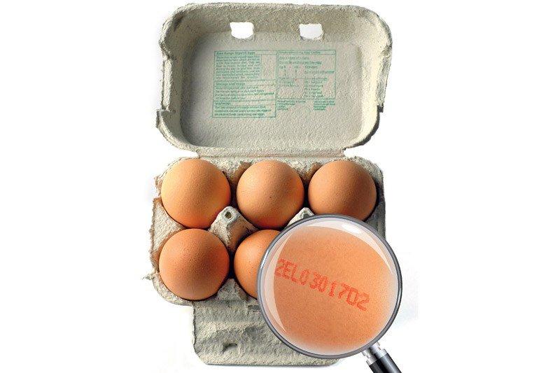 Έχετε προσέξει ποτέ τους κωδικούς στα αυγά που αγοράζετε; Δείτε ΤΙ σημαίνουν!