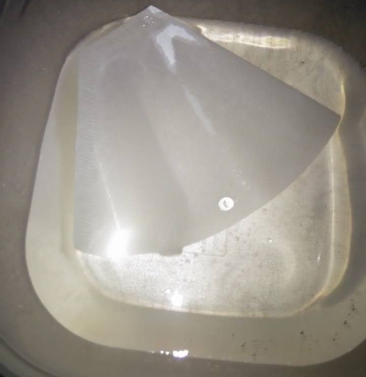 Βάζει σε  μπολ με νερό,ένα φίλτρο καφέ ανάποδα και φτιάχνει την πιο όμορφη πασχαλινή κατασκευή!