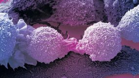 Έρευνα: Οι επιστήμονες βρήκαν την «αχίλλειο πτέρνα» όλων των καρκίνων