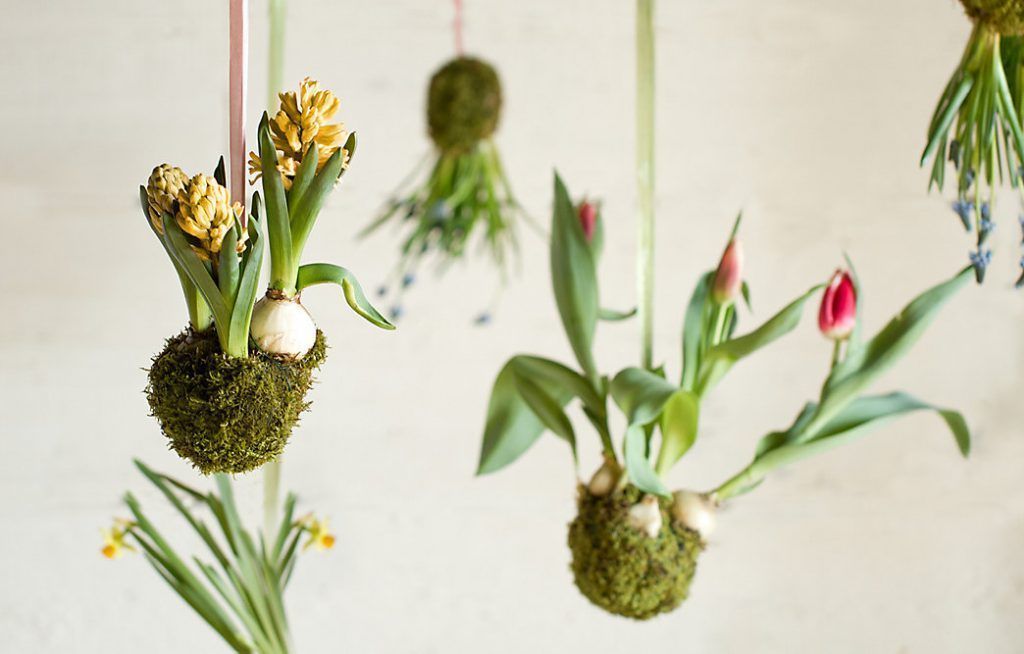 διακοσμηση