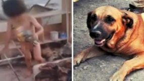 Σκυλί θήλαζε δίπλα σε σκουπίδια, γυμνό 2χρονο παιδάκι που είχε εγκαταλείψει η μητέρα του (Video & Photos)