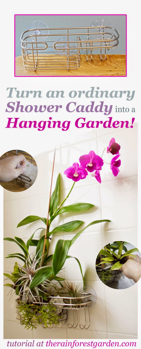 shower-caddy-hanging-garden