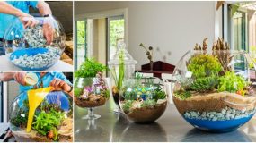 Ιδέες για  να φτιάξετε διακοσμητικους γυάλινους κήπους