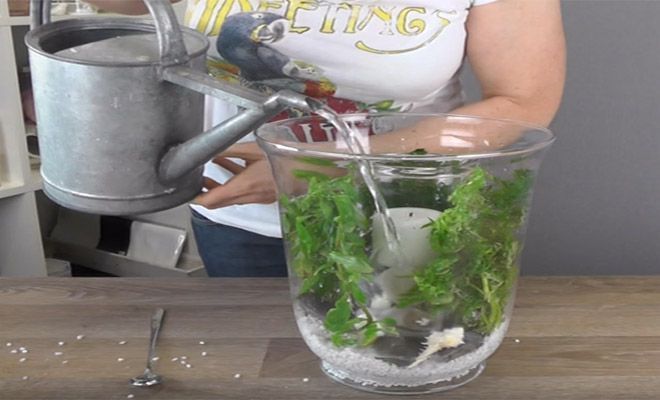 Εριξέ νερο σε ενα κηροπήγιο …Το αποτέλεσμα θα σας εκπλήξει!