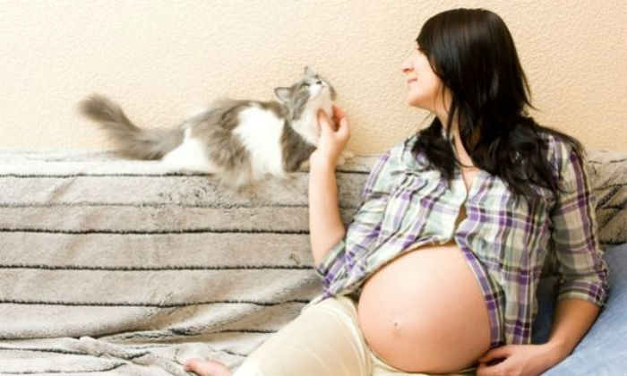 Τοξόπλασμα στην εγκυμοσύνη: Όσα πρέπει να ξέρετε!