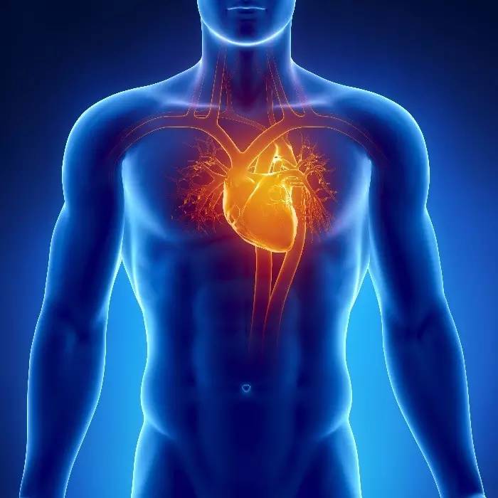 «Φτερούγισμα» στην καρδιά: Πότε πρέπει να επισκεφθείτε γιατρό