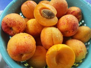 apricots-168502_960_720