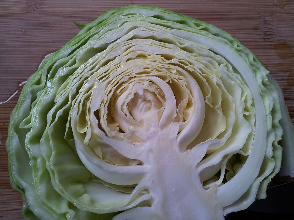 green-cabbage