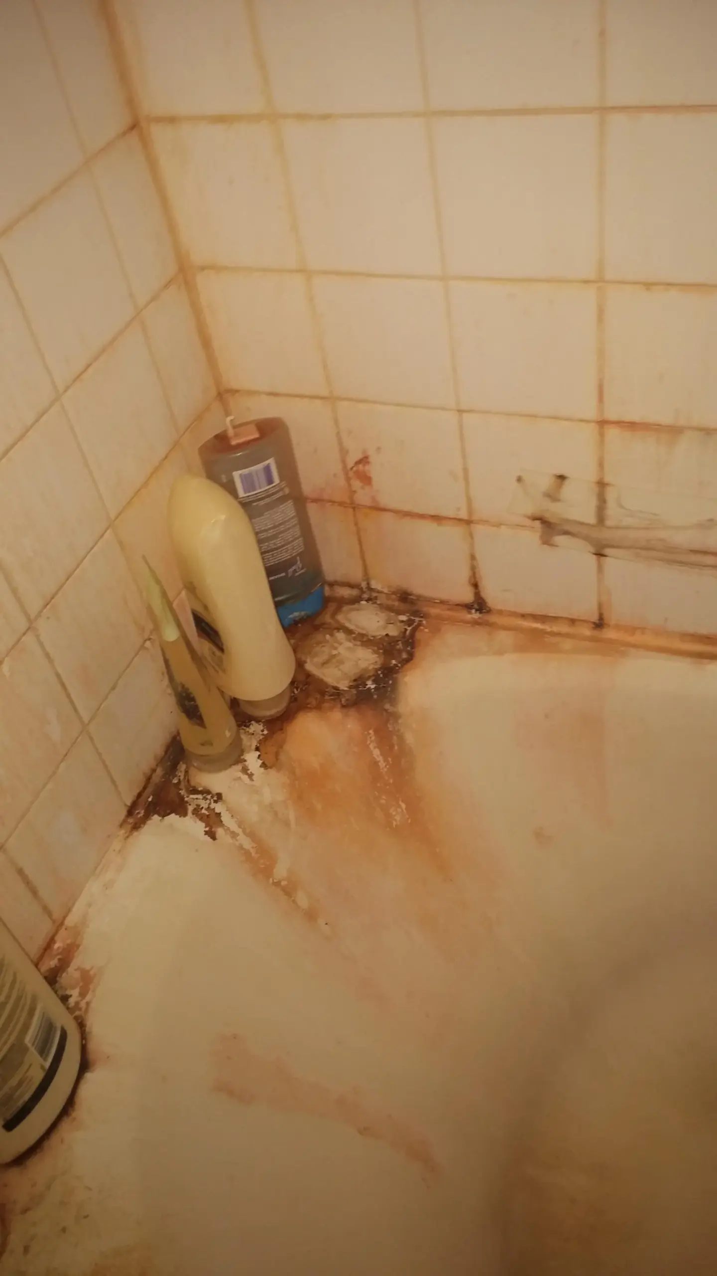 12 χρήσεις της χλωρίνης που ίσως δεν ξέρατε