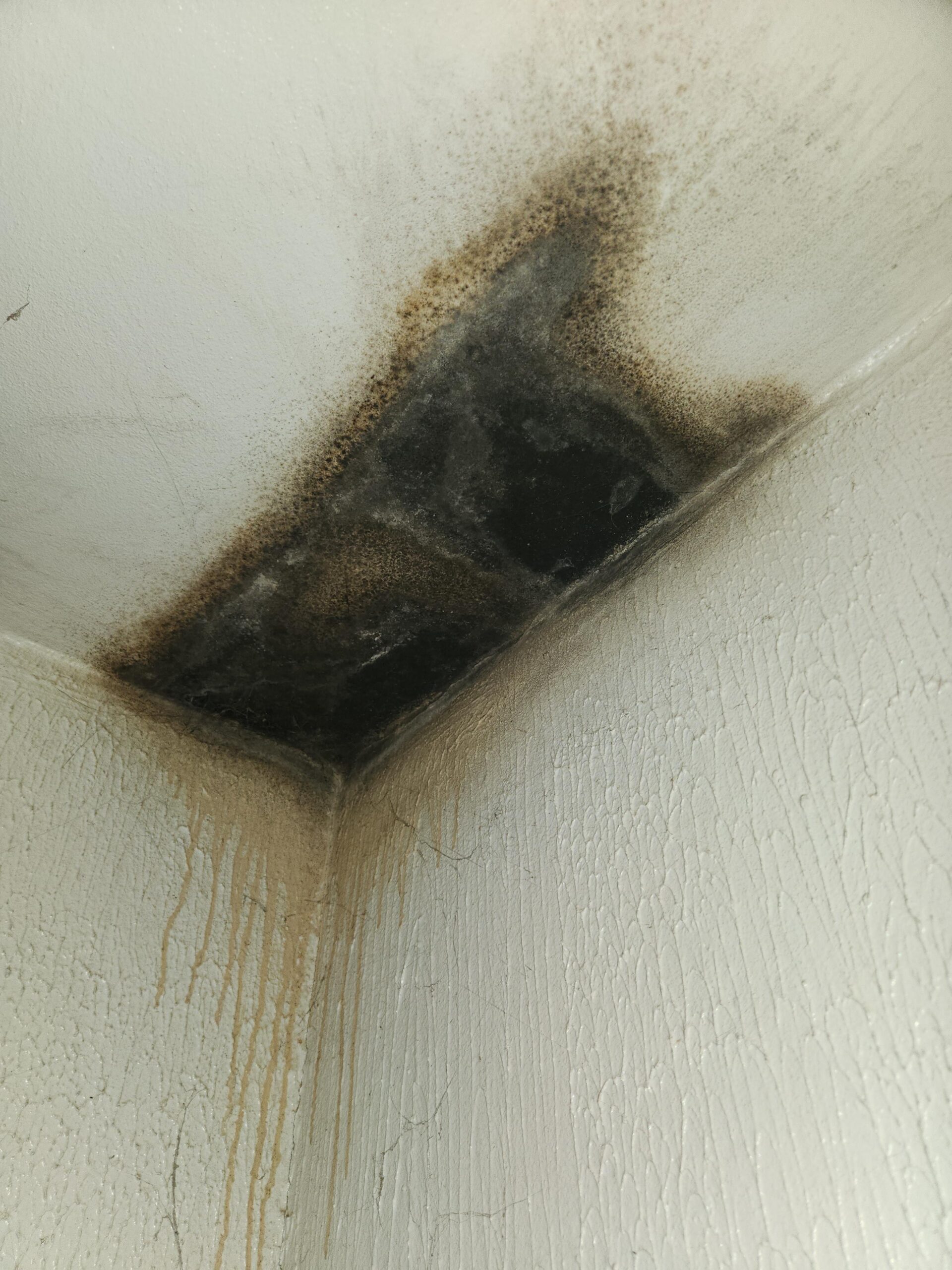 12 χρήσεις της χλωρίνης που ίσως δεν ξέρατε