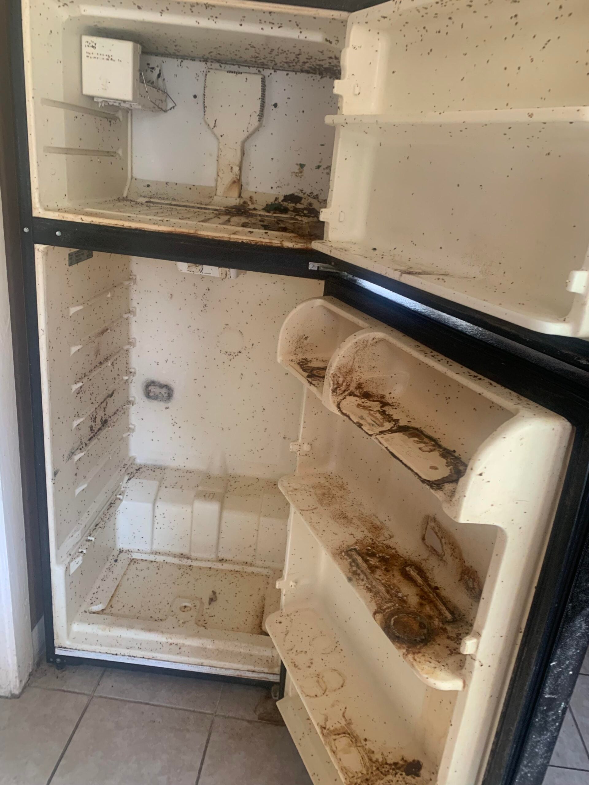 12 χρήσεις της χλωρίνης που ίσως δεν ξέρατε