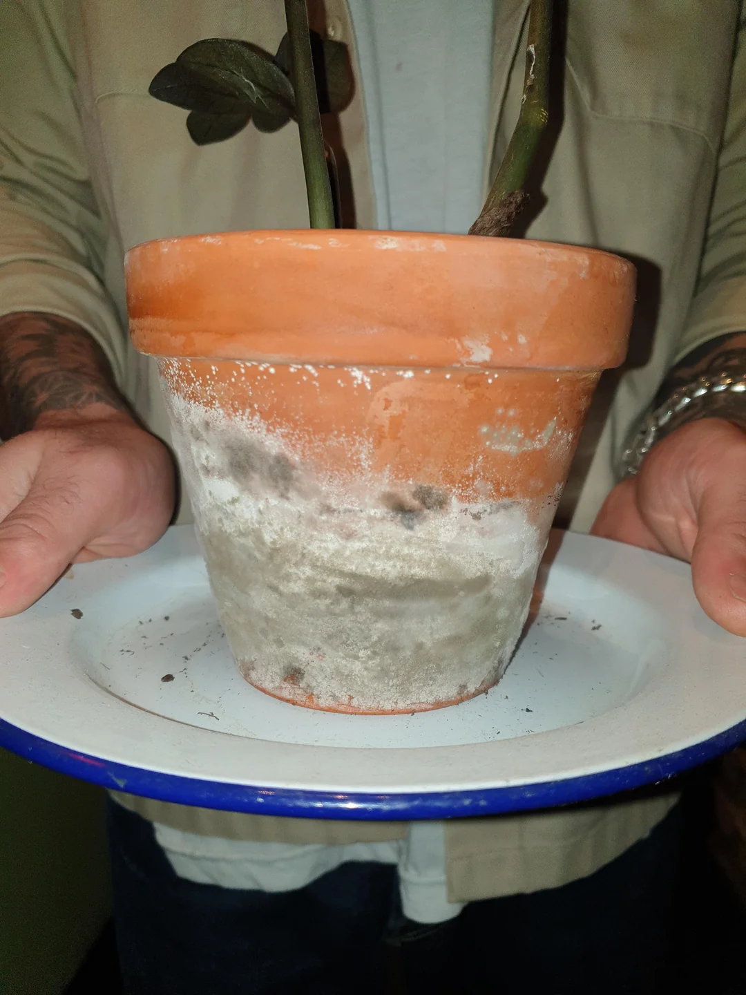 12 χρήσεις της χλωρίνης που ίσως δεν ξέρατε