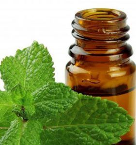 Peppermint-Essential-Oil-Headaches