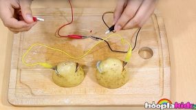 Πατάτες- Μπαταρίες: ένα απίστευτο πείραμα για να κάνετε με τα παιδιά σας