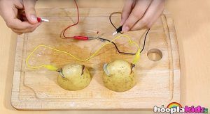 peirama me patata 4_