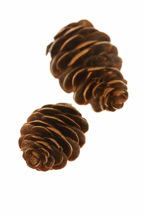 25-achrista-pragmata-pou-moroun-na-ginoun-i-thisavri-diakosmisas-sas25_