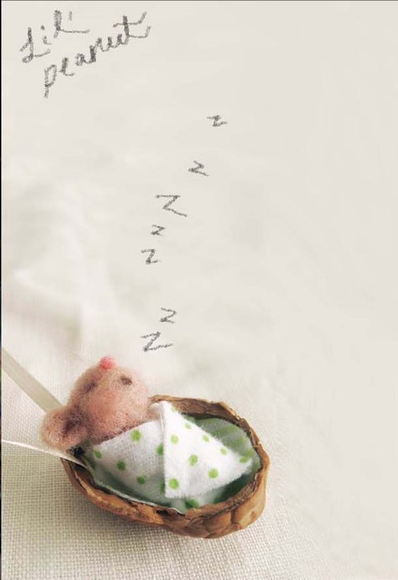 den-mporite-na-fantastite-ti-mporite-na-ftiaxete-apla-me-to-tsofli-ton-karidion13_