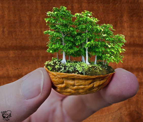 den-mporite-na-fantastite-ti-mporite-na-ftiaxete-apla-me-to-tsofli-ton-karidion25_