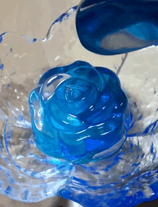 i-fotografia-tis-gatas-nerou-pou-egine-viral6_