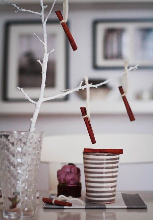 christougenniatikes-diakosmisis-me-sticks-kanelas25_