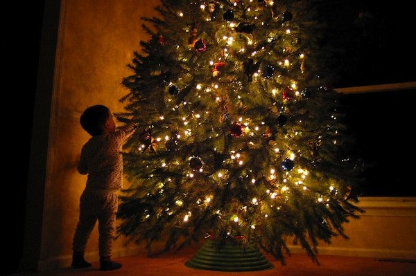 Χριστουγεννιάτικο δέντρο: Ποιά η ιστορία του; Πότε εισήλθε στη χριστιανική θρησκεία;