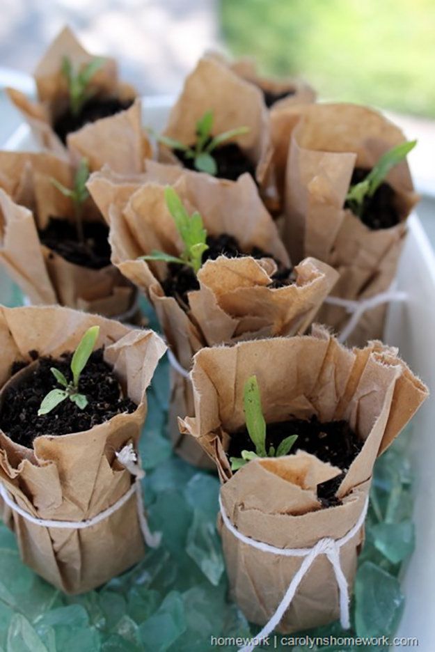 teleiwmena-rola-ygeias10_