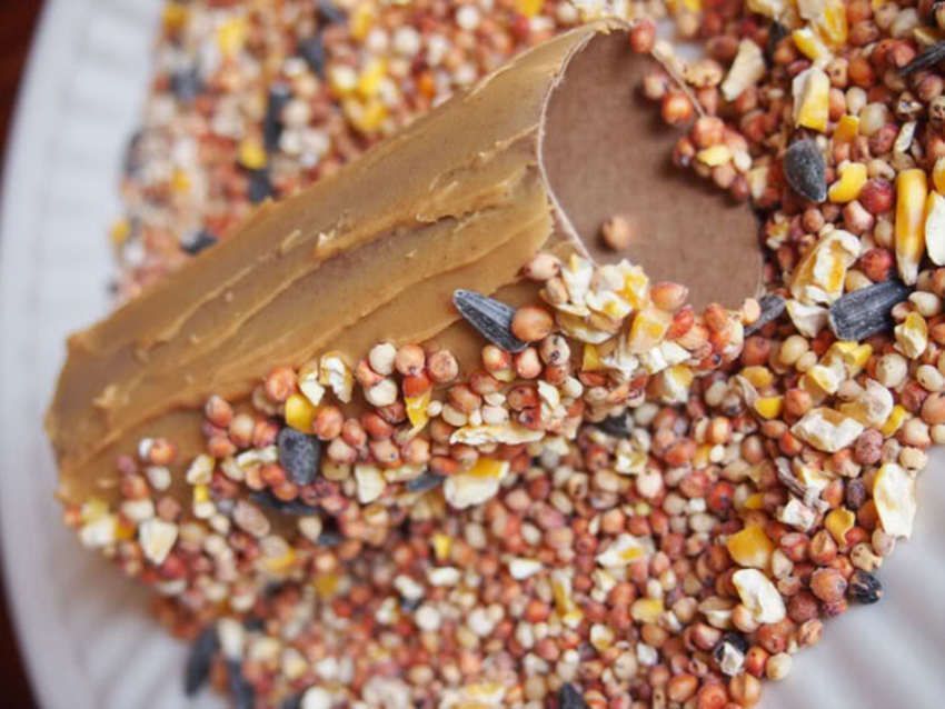 teleiwmena-rola-ygeias8_