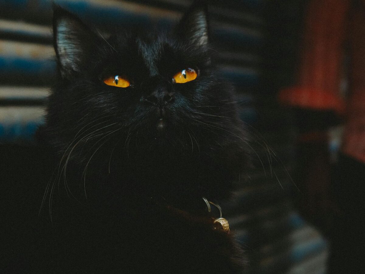 Τρίτη και 13 σήμερα! Γνωρίζετε γιατί θεωρείται γρουσούζικη ημέρα;