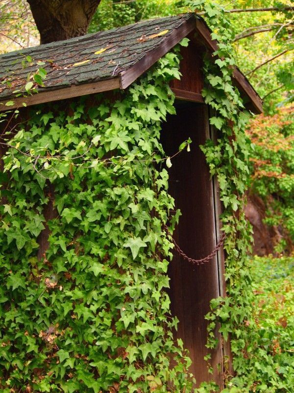 kaltsa-sto-plintirio-me-filla-kissou2_